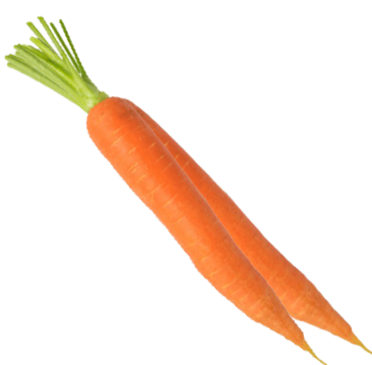 Zanahoria